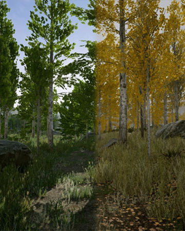 دانلود ۵۰ درخت رایگان برای  Unreal Engine