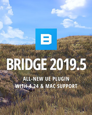Quixel ships Bridge 2019.5  منتشر شد