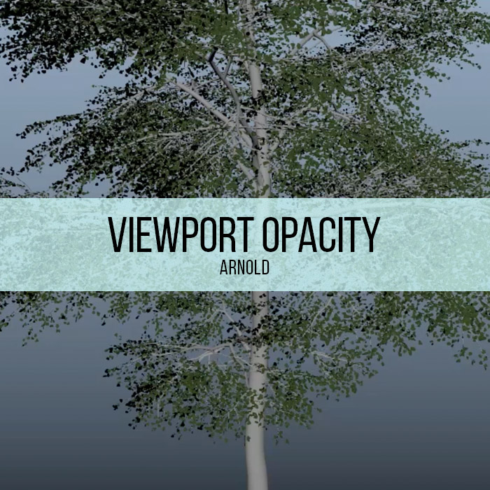 Arnold - Viewport Opacity