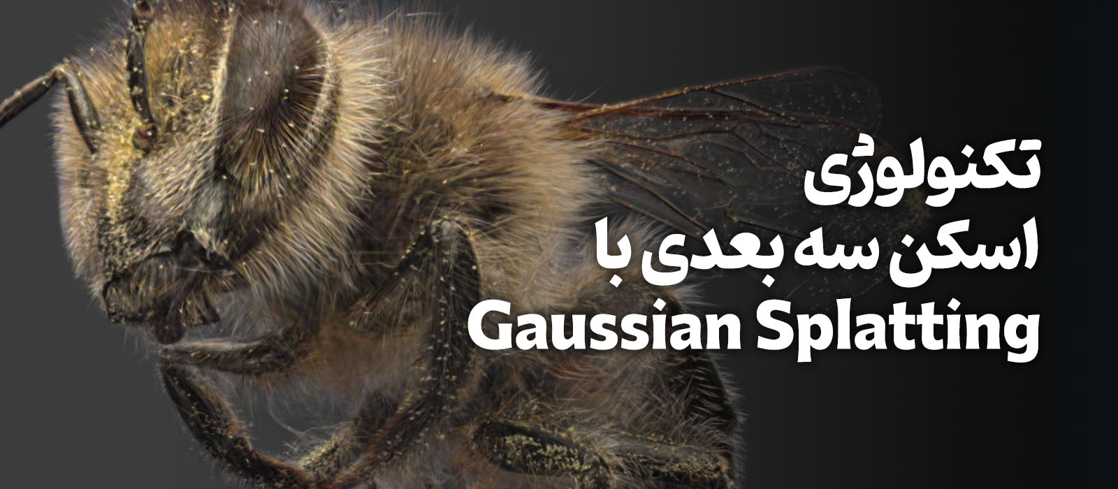 اسپات لایت: آینده اسکن سه بعدی