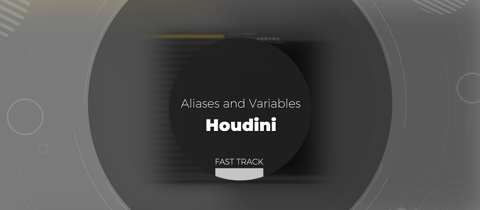 Houdini - Aliases and Variables