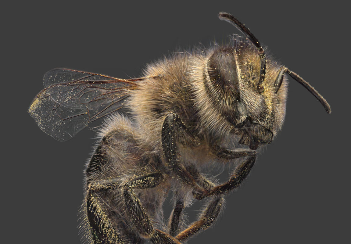 اسپات لایت: آینده اسکن سه بعدی