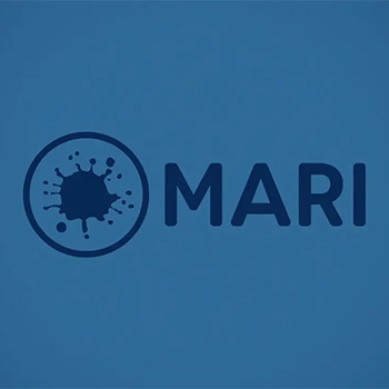 MARI 2.6