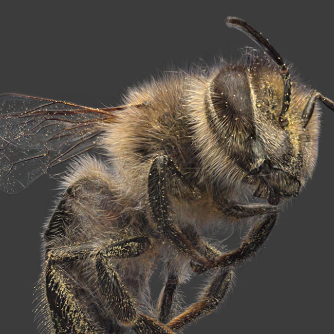 اسپات لایت: آینده اسکن سه بعدی