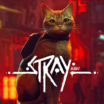 بررسی بازی Stray