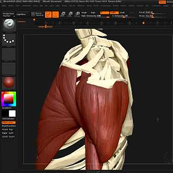 Zbrush4.0 R2b منتشر شد.