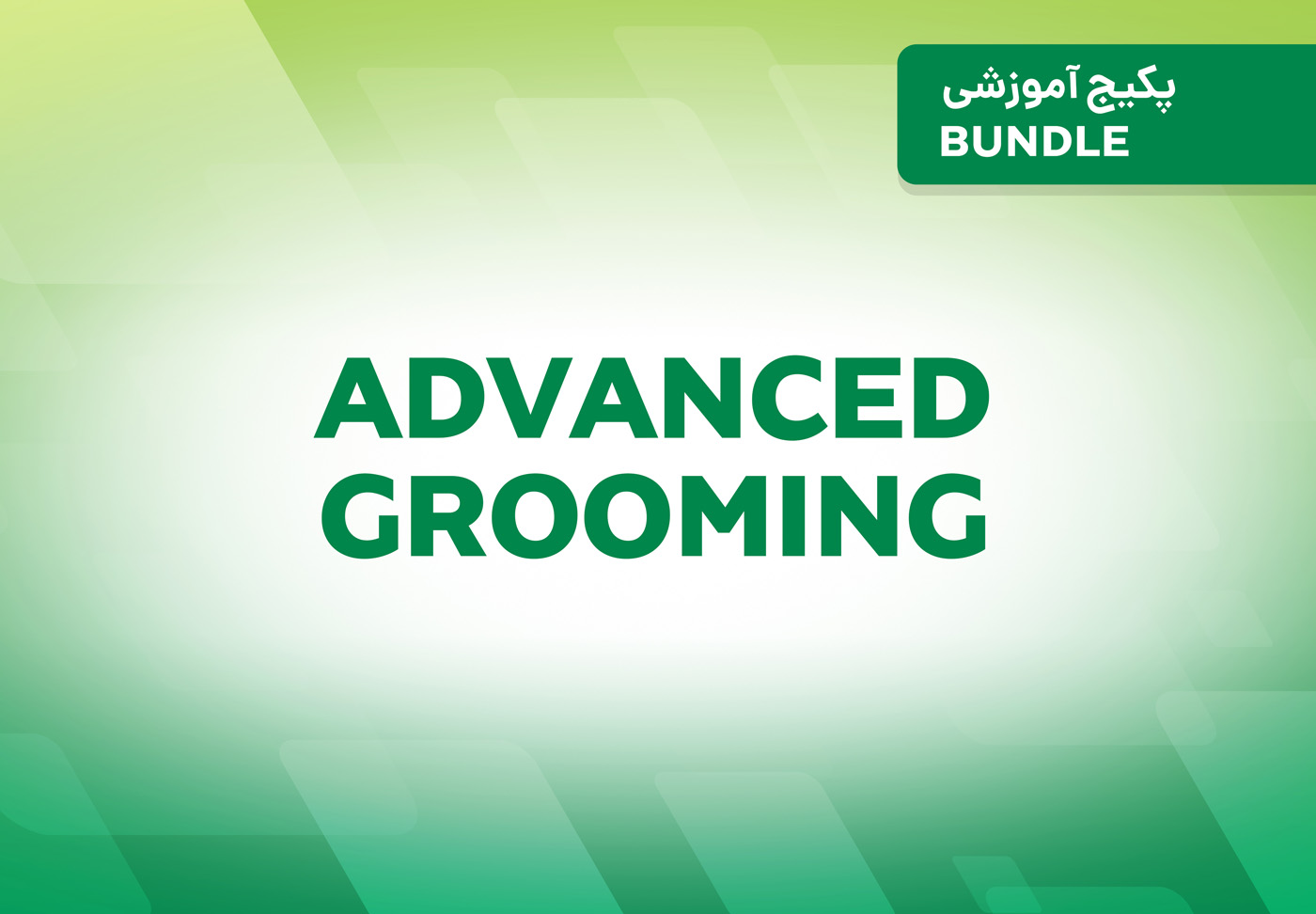 پکیج آموزشی Advanced Grooming