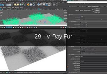 28 - VRay Fur