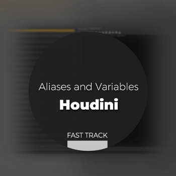 Houdini - Aliases and Variables