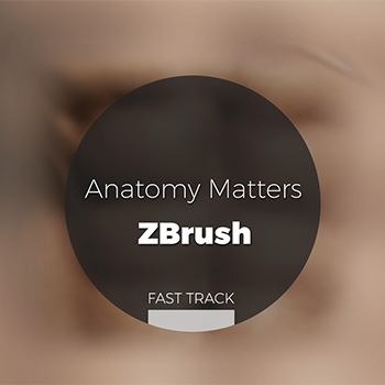 Zbrush - Anatomy Matters