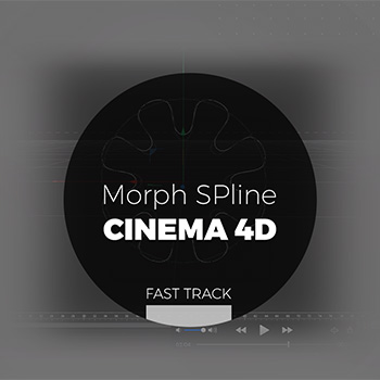 Cinema 4D - Morph SPline