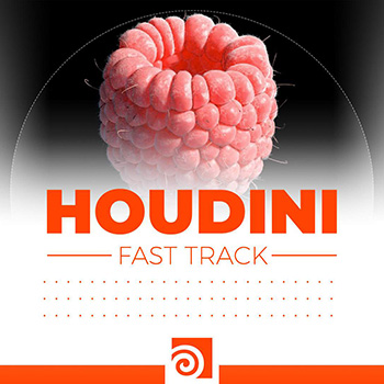 Houdini - Detangle Node