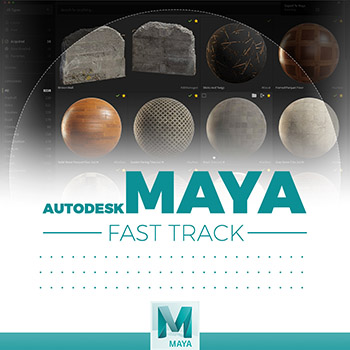Maya - Mega Scan Live Link