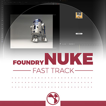 Nuke - Project Directory