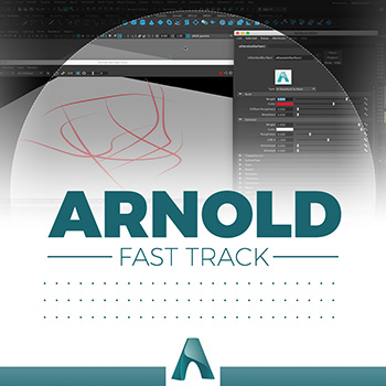 Arnold - Curve Collector