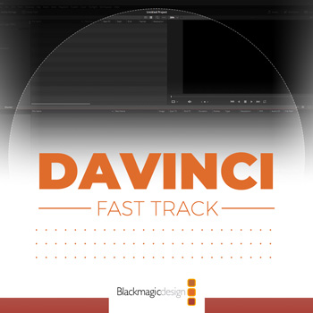 Davinci - Make GUI Bigger