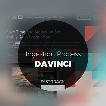Davinci - Ingestion Proces