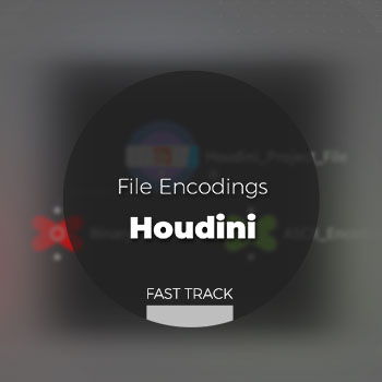 Houdini - File Encoding