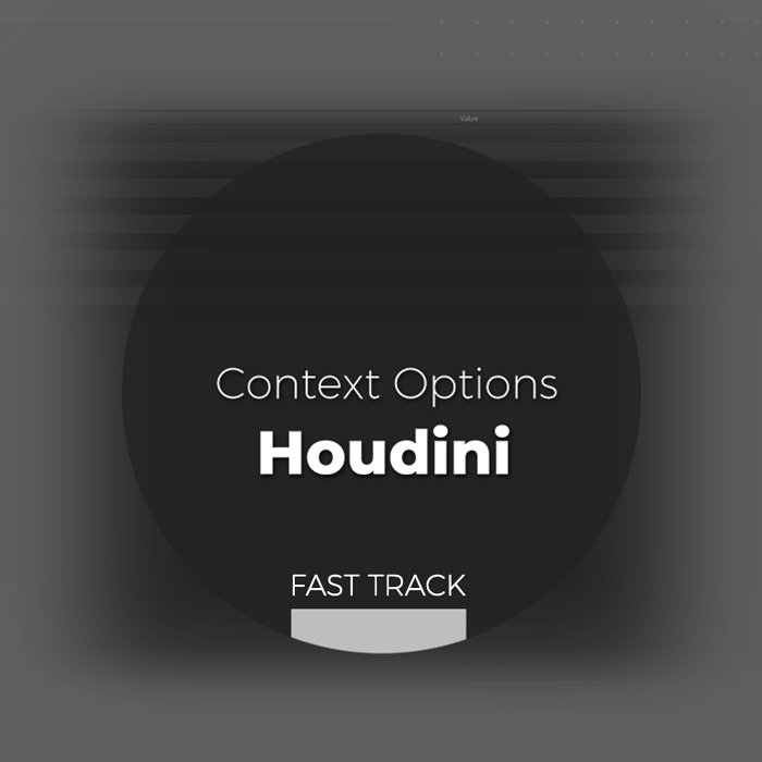 Houdini - Context Options