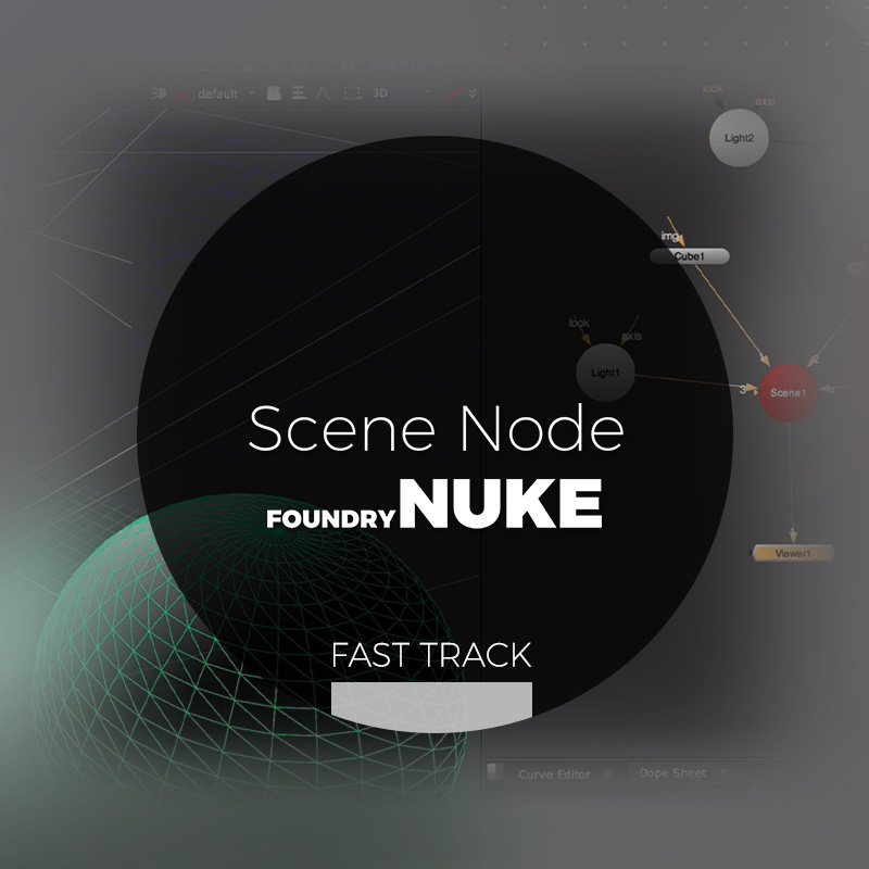 Nuke - Scene Node