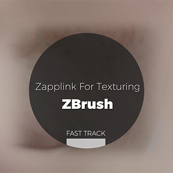 Zbrush - Zapplink for Texturing