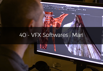 40 - VFX Softwares: Mari