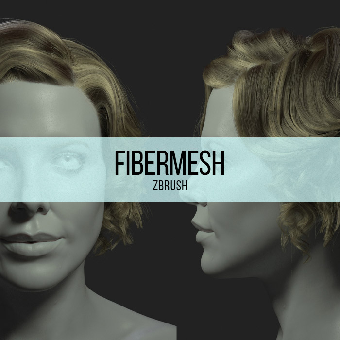 ZBrush - Fibermesh